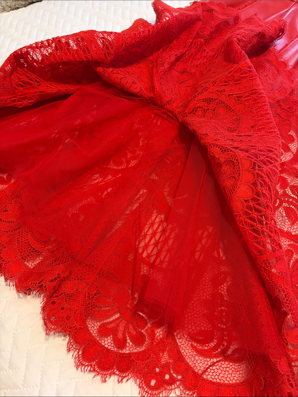 Alexander McQueen Lust Red Lace-Hem Leather Midi Dress - Picture 11 of 16